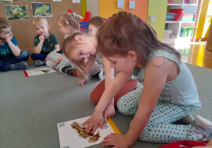 Dzieci dotykają sensorycznych plansz